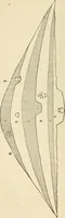 An illustration from Grave-mounds and their contents; a manual of archaeology, as exemplified in the burials of the Celtic, the Romano-British, and the Anglo-Saxon periods (1870)