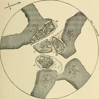 An illustration from Grave-mounds and their contents; a manual of archaeology, as exemplified in the burials of the Celtic, the Romano-British, and the Anglo-Saxon periods (1870)
