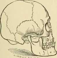 Picture 12 of 274 from Grave-mounds and their contents; a manual of archaeology, as exemplified in the burials of the Celtic, the Romano-British, and the Anglo-Saxon periods (1870), leaf 51