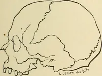 An illustration from Grave-mounds and their contents; a manual of archaeology, as exemplified in the burials of the Celtic, the Romano-British, and the Anglo-Saxon periods (1870)