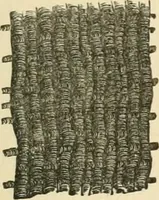 An illustration from Grave-mounds and their contents; a manual of archaeology, as exemplified in the burials of the Celtic, the Romano-British, and the Anglo-Saxon periods (1870)