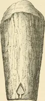 Picture 28 of 274 from Grave-mounds and their contents; a manual of archaeology, as exemplified in the burials of the Celtic, the Romano-British, and the Anglo-Saxon periods (1870), leaf 78