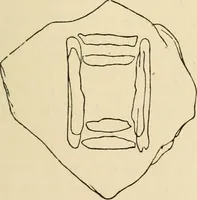 An illustration from Grave-mounds and their contents; a manual of archaeology, as exemplified in the burials of the Celtic, the Romano-British, and the Anglo-Saxon periods (1870)
