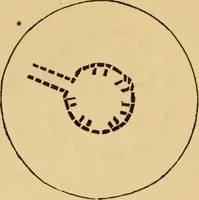 An illustration from Grave-mounds and their contents; a manual of archaeology, as exemplified in the burials of the Celtic, the Romano-British, and the Anglo-Saxon periods (1870)