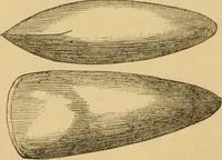 An illustration from Grave-mounds and their contents; a manual of archaeology, as exemplified in the burials of the Celtic, the Romano-British, and the Anglo-Saxon periods (1870)