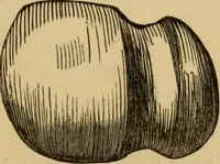 An illustration from Grave-mounds and their contents; a manual of archaeology, as exemplified in the burials of the Celtic, the Romano-British, and the Anglo-Saxon periods (1870)
