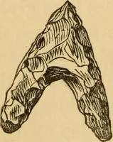 An illustration from Grave-mounds and their contents; a manual of archaeology, as exemplified in the burials of the Celtic, the Romano-British, and the Anglo-Saxon periods (1870)