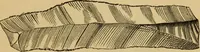 Picture 132 of 353 from Grave-mounds and their contents; a manual of archaeology, as exemplified in the burials of the Celtic, the Romano-British, and the Anglo-Saxon periods (1870), leaf 151