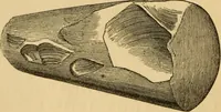 An illustration from Grave-mounds and their contents; a manual of archaeology, as exemplified in the burials of the Celtic, the Romano-British, and the Anglo-Saxon periods (1870)