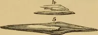 An illustration from Grave-mounds and their contents; a manual of archaeology, as exemplified in the burials of the Celtic, the Romano-British, and the Anglo-Saxon periods (1870)