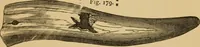 Picture 145 of 353 from Grave-mounds and their contents; a manual of archaeology, as exemplified in the burials of the Celtic, the Romano-British, and the Anglo-Saxon periods (1870), leaf 157