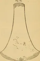 Picture 148 of 353 from Grave-mounds and their contents; a manual of archaeology, as exemplified in the burials of the Celtic, the Romano-British, and the Anglo-Saxon periods (1870), leaf 158