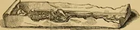 Picture 163 of 353 from Grave-mounds and their contents; a manual of archaeology, as exemplified in the burials of the Celtic, the Romano-British, and the Anglo-Saxon periods (1870), leaf 175