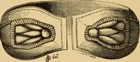 An illustration from Grave-mounds and their contents; a manual of archaeology, as exemplified in the burials of the Celtic, the Romano-British, and the Anglo-Saxon periods (1870)