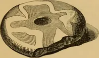 Picture 274 of 353 from Grave-mounds and their contents; a manual of archaeology, as exemplified in the burials of the Celtic, the Romano-British, and the Anglo-Saxon periods (1870), leaf 263
