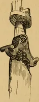 Picture 279 of 353 from Grave-mounds and their contents; a manual of archaeology, as exemplified in the burials of the Celtic, the Romano-British, and the Anglo-Saxon periods (1870), leaf 267