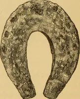 Picture 311 of 353 from Grave-mounds and their contents; a manual of archaeology, as exemplified in the burials of the Celtic, the Romano-British, and the Anglo-Saxon periods (1870), leaf 294