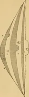 An illustration from Grave-mounds and their contents; a manual of archaeology, as exemplified in the burials of the Celtic, the Romano-British, and the Anglo-Saxon periods (1870)