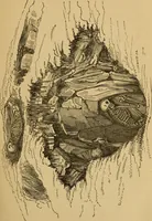 An illustration from Grave-mounds and their contents; a manual of archaeology, as exemplified in the burials of the Celtic, the Romano-British, and the Anglo-Saxon periods (1870)