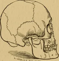 Picture 13 of 353 from Grave-mounds and their contents; a manual of archaeology, as exemplified in the burials of the Celtic, the Romano-British, and the Anglo-Saxon periods (1870), leaf 51