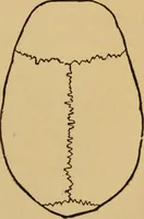 An illustration from Grave-mounds and their contents; a manual of archaeology, as exemplified in the burials of the Celtic, the Romano-British, and the Anglo-Saxon periods (1870)