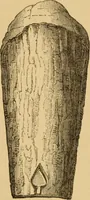 Picture 30 of 353 from Grave-mounds and their contents; a manual of archaeology, as exemplified in the burials of the Celtic, the Romano-British, and the Anglo-Saxon periods (1870), leaf 78