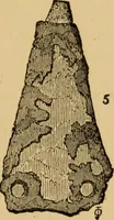 Picture 33 of 353 from Grave-mounds and their contents; a manual of archaeology, as exemplified in the burials of the Celtic, the Romano-British, and the Anglo-Saxon periods (1870), leaf 79