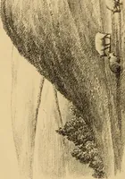 An illustration from Grave-mounds and their contents; a manual of archaeology, as exemplified in the burials of the Celtic, the Romano-British, and the Anglo-Saxon periods (1870)