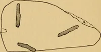 An illustration from Grave-mounds and their contents; a manual of archaeology, as exemplified in the burials of the Celtic, the Romano-British, and the Anglo-Saxon periods (1870)