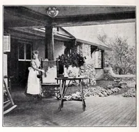 An illustration from Graves' Zenith Art Lusters : the world over for the artistic home. (1907)