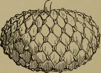 Picture 87 of 234 from Great Benin; its customs, art and horrors (1903), leaf 122