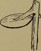 Picture 119 of 234 from Great Benin; its customs, art and horrors (1903), leaf 146