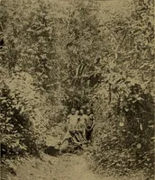 An illustration from Great Benin; its customs, art and horrors (1903)