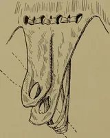 An illustration from Great Benin; its customs, art and horrors (1903)