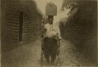 Picture 135 of 234 from Great Benin; its customs, art and horrors (1903), leaf 179