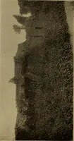 An illustration from Great Benin; its customs, art and horrors (1903)