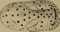 An illustration from Great Benin; its customs, art and horrors (1903)