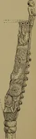 An illustration from Great Benin; its customs, art and horrors (1903)