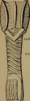 Picture 228 of 234 from Great Benin; its customs, art and horrors (1903), leaf 245