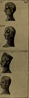 An illustration from Great Benin; its customs, art and horrors (1903)