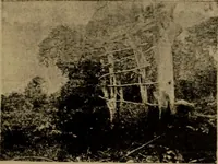 An illustration from Great Benin; its customs, art and horrors (1903)