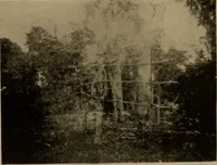 An illustration from Great Benin; its customs, art and horrors (1903)