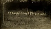 Picture 61 of 234 from Great Benin; its customs, art and horrors (1903), leaf 78