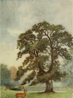 An illustration from The greater abbeys of England, with illustrations in colour after Warwick Goble (1908)