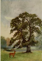 An illustration from The greater abbeys of England (1908)