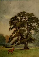 An illustration from The greater abbeys of England (1908)