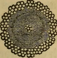 An illustration from Great facts : a popular history and description of the most remarkable inventions during the present century (1860)