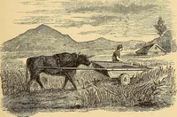 An illustration from The great inventions : their history, from the earliest period to the present. Their influence on civilization, accompanied by sketches of lives of the principal inventors; their labors, their hardships and their triumphs (1883)