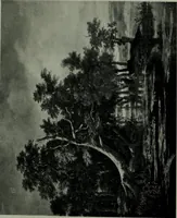 An illustration from Great masters of Dutch and Flemish painting (1909)