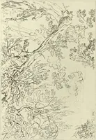 Picture 117 of 220 from The great painter-etchers from Rembrandt to Whistler (1914), leaf 185